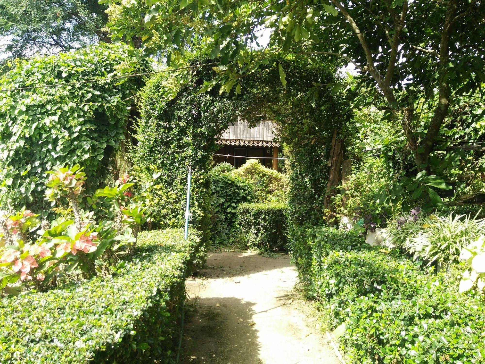 Mr Jan Guesthouse Pai Dış mekan fotoğraf