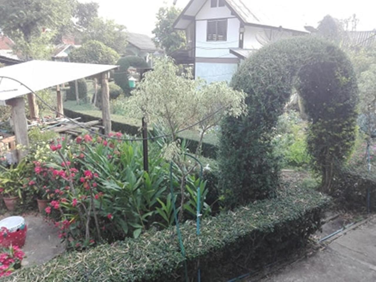 Mr Jan Guesthouse Pai Dış mekan fotoğraf