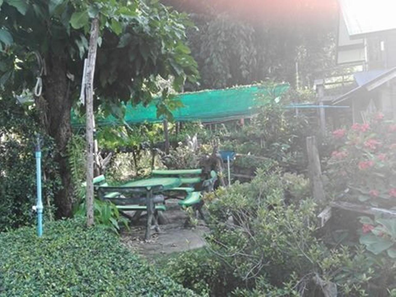Mr Jan Guesthouse Pai Dış mekan fotoğraf