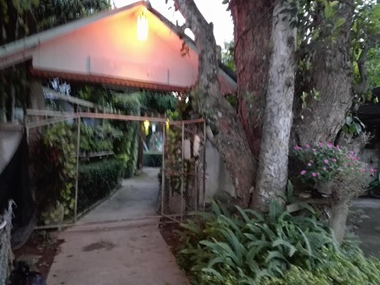 Mr Jan Guesthouse Pai Dış mekan fotoğraf